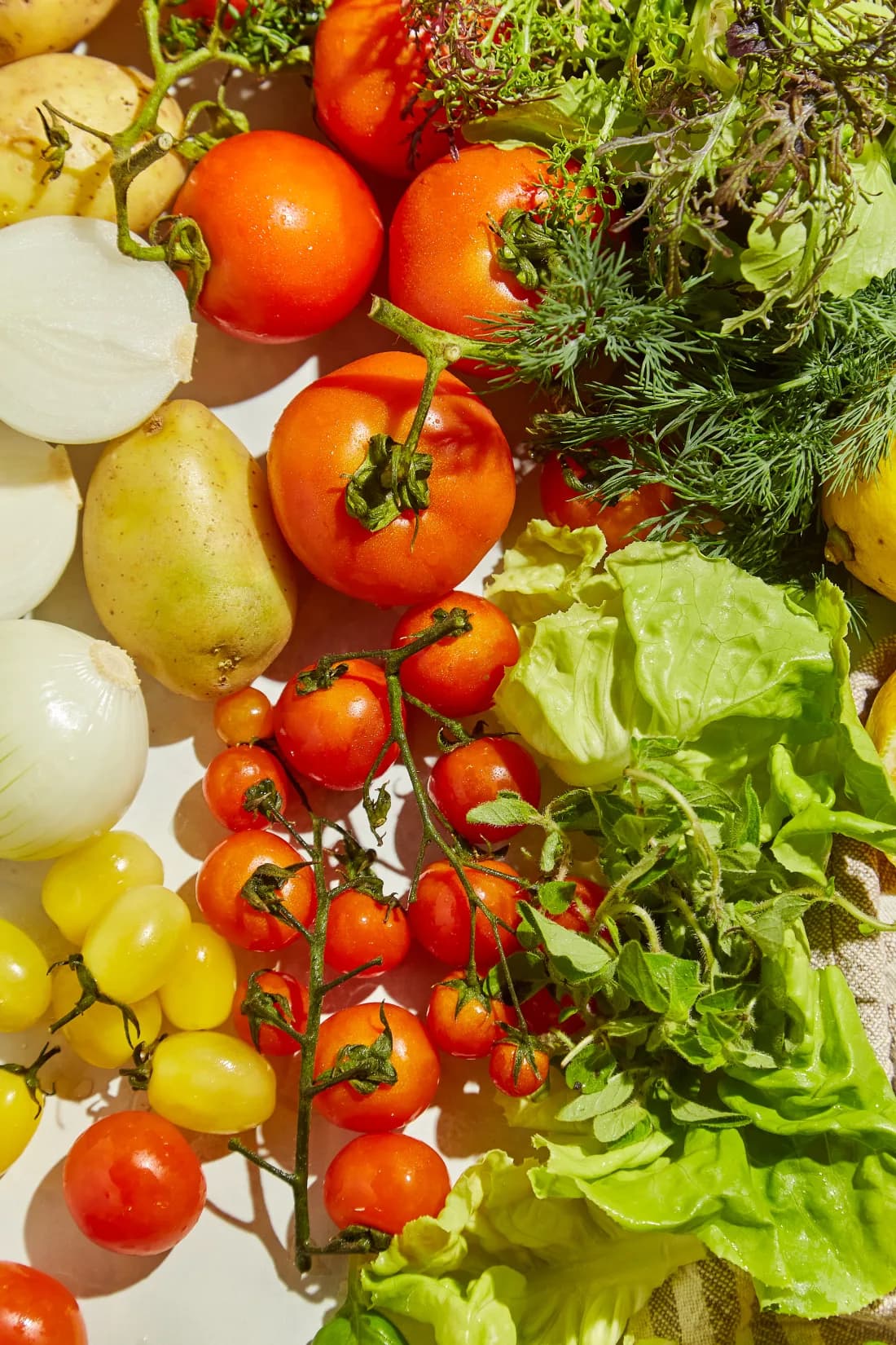 Vegetales y hierbas frescas usadas en la cocina de Dining Hall